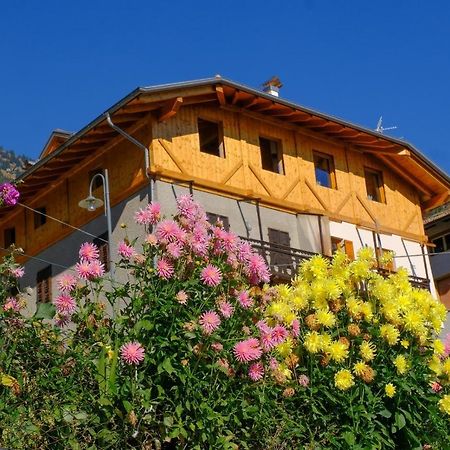 B&B Butterfly Bresimo Buitenkant foto