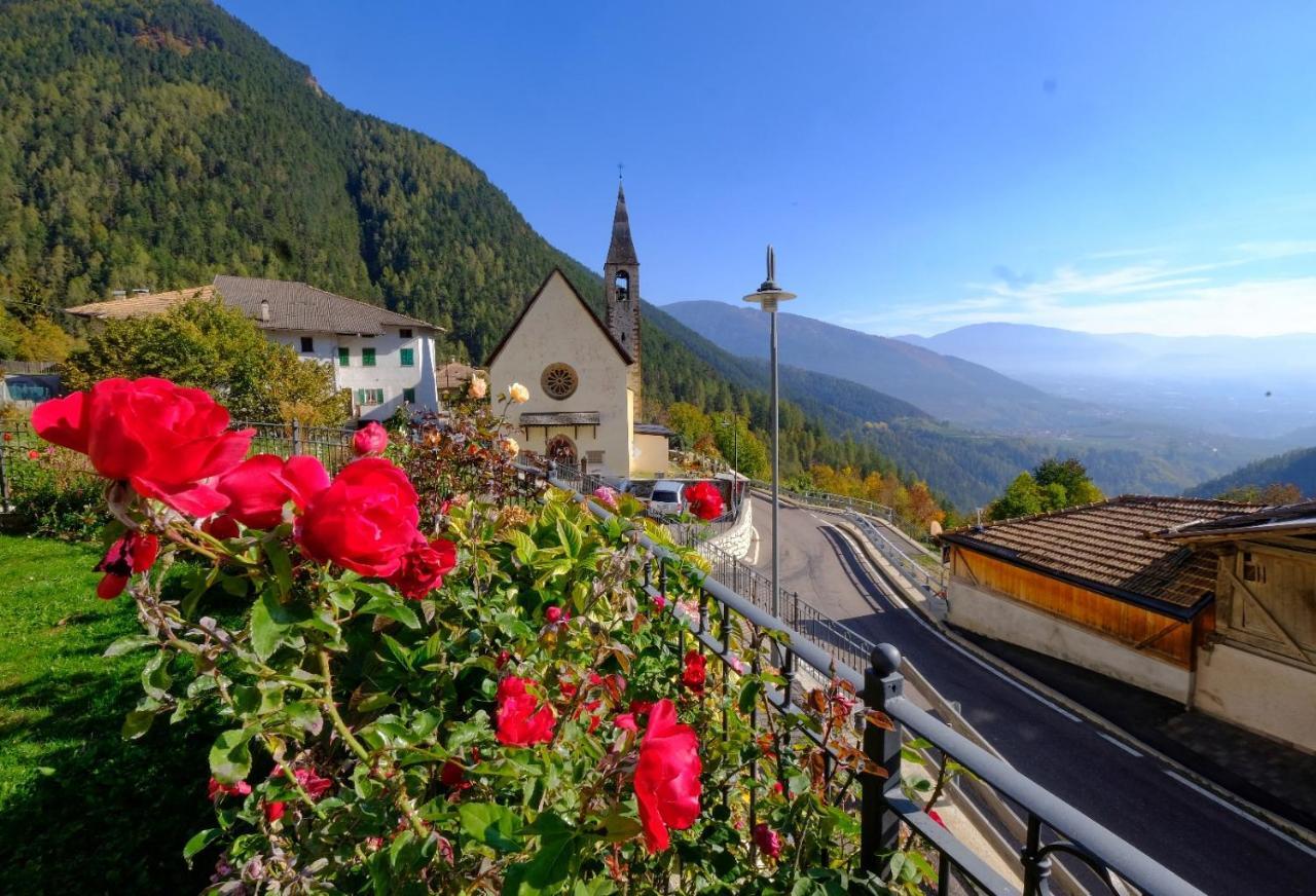B&B Butterfly Bresimo Buitenkant foto