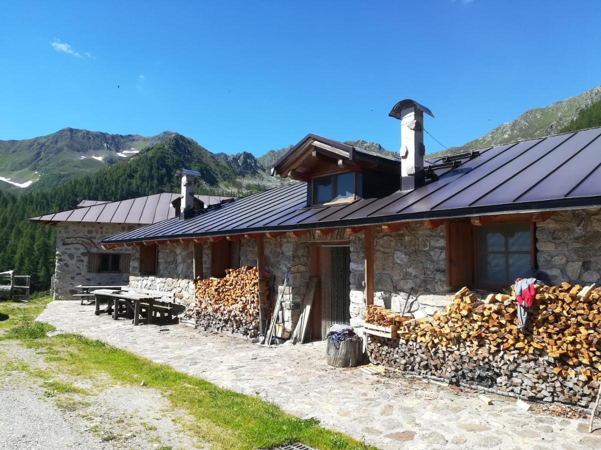 B&B Butterfly Bresimo Buitenkant foto