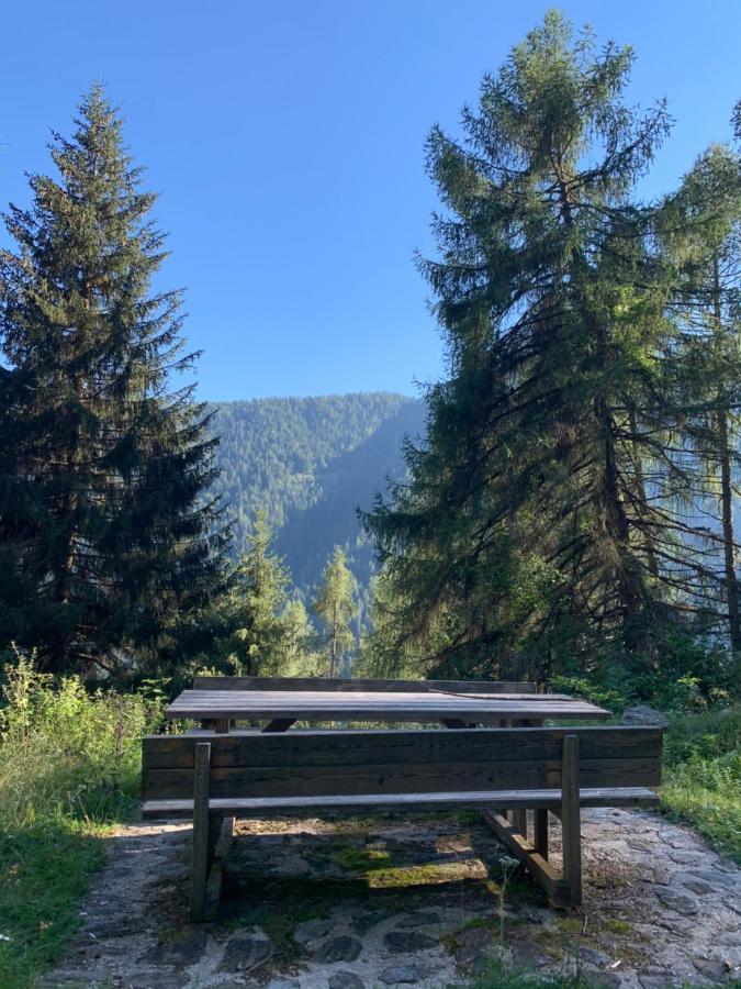 B&B Butterfly Bresimo Buitenkant foto