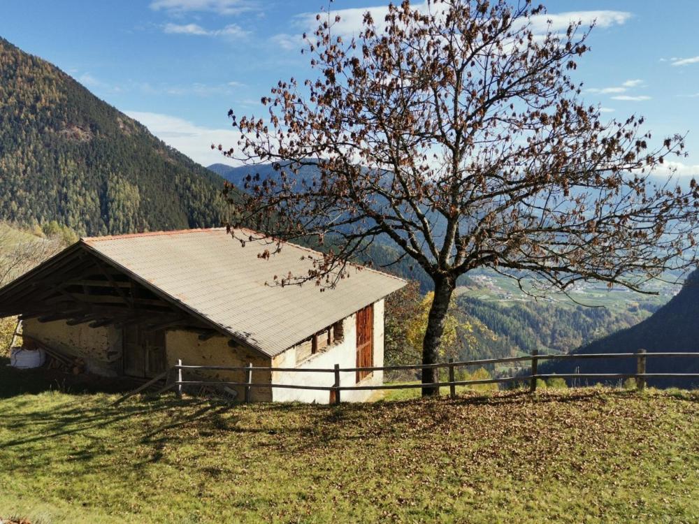 B&B Butterfly Bresimo Buitenkant foto